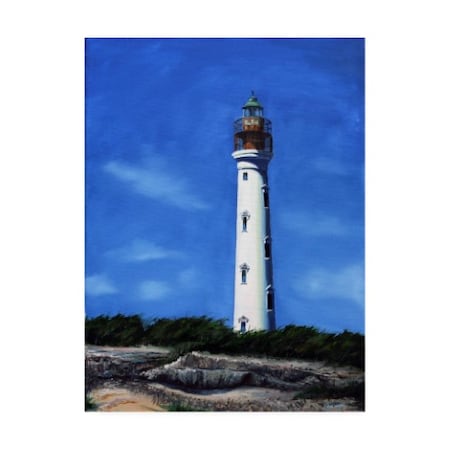Paul Walsh 'Aruba Lighthouse' Canvas Art,35x47